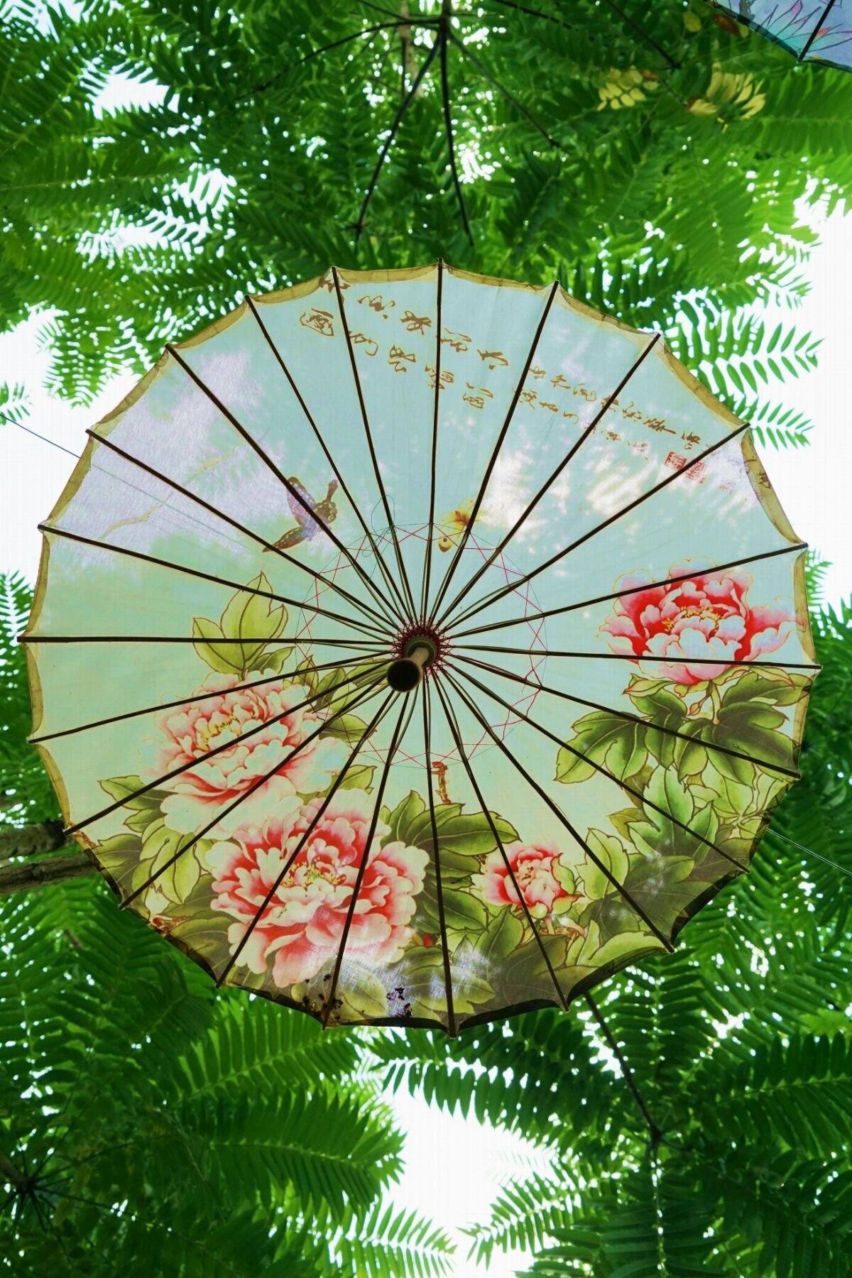 贺州玉石林油纸伞节