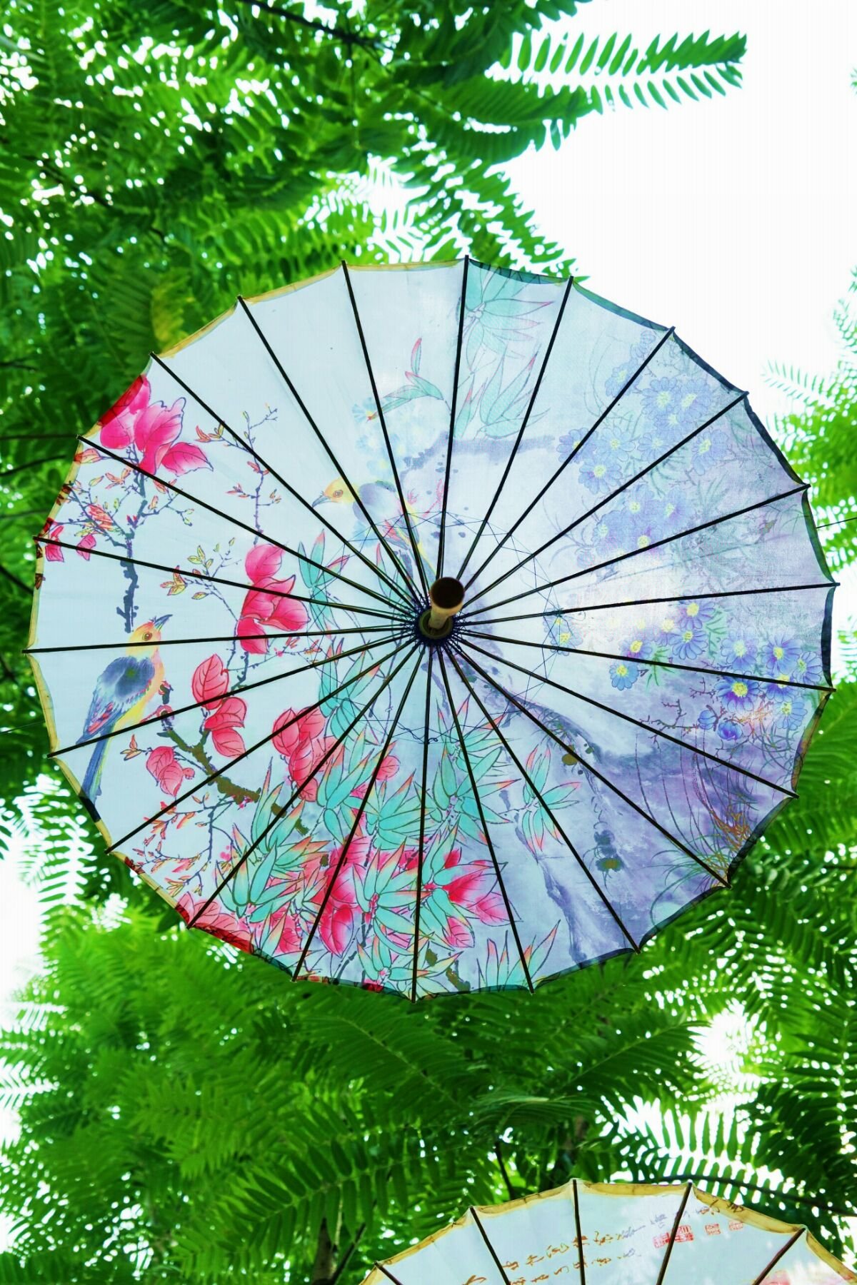 贺州玉石林油纸伞节